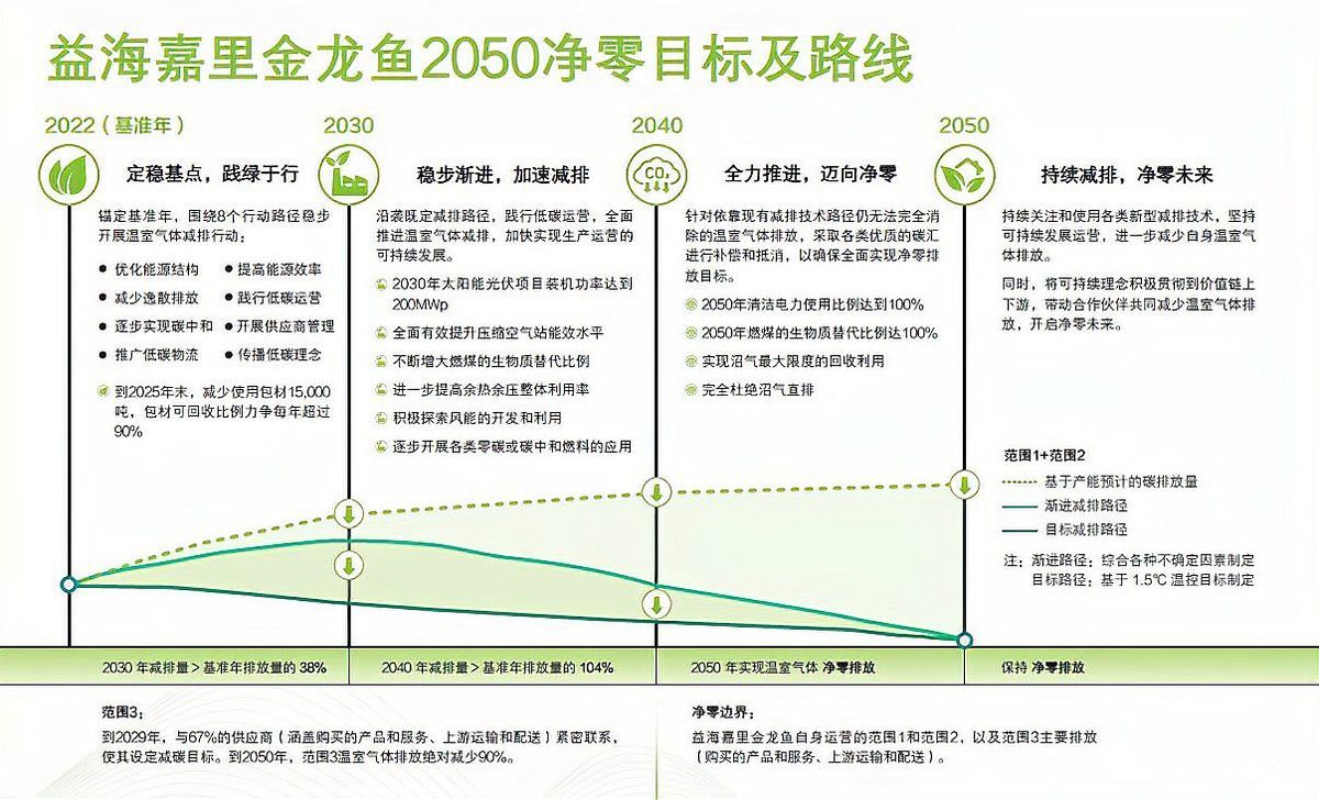 金龍魚如何優(yōu)化能源結(jié)構(gòu)？