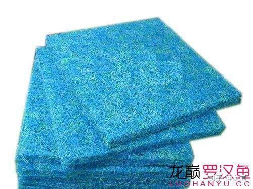 養銀龍魚用什么濾材最好