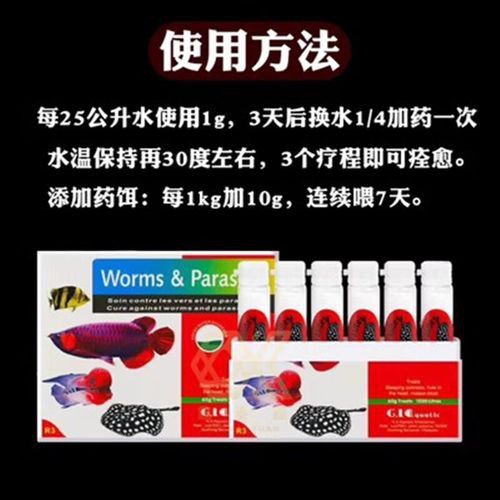 養(yǎng)龍魚溫度在多少最好 養(yǎng)龍魚溫度在多少最好 龍魚百科 第4張