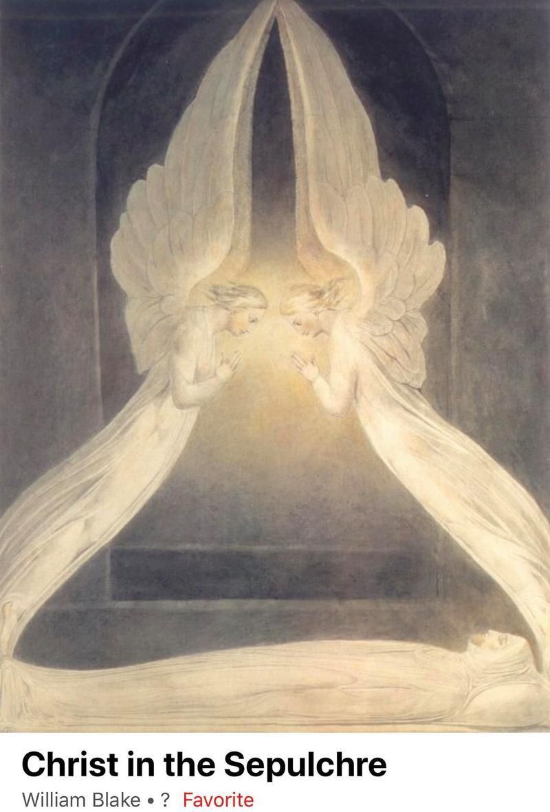 紅龍插畫藝術(shù)作品