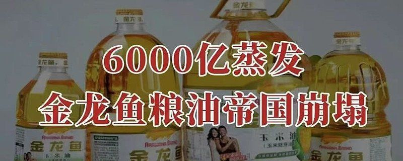 金龍魚誰控股