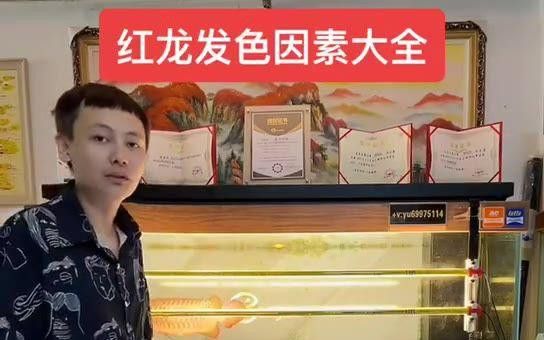 紅龍魚發(fā)色需要哪些營(yíng)養(yǎng)？