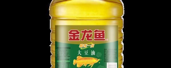 金龍魚金質不重怎么辦:金龍魚水質管理的最佳實踐 龍魚百科 第1張 金龍魚金質不重怎么辦:金龍魚水質管理的最佳實踐 金龍魚金質不重怎么辦:金龍魚水質管理的最佳實踐 龍魚百科 第1張