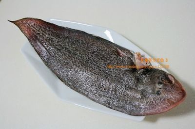 龍利魚可以喂龍魚嗎：龍利魚可以喂給龍魚嗎 龍利魚可以喂龍魚嗎：龍利魚可以喂給龍魚嗎 龍魚百科 第3張