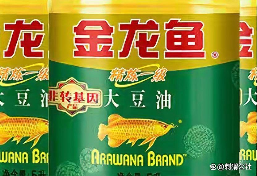 林風(fēng)改造銀龍魚的目的是什么？ 林風(fēng)改造銀龍魚的目的是什么？ 龍魚百科 第8張