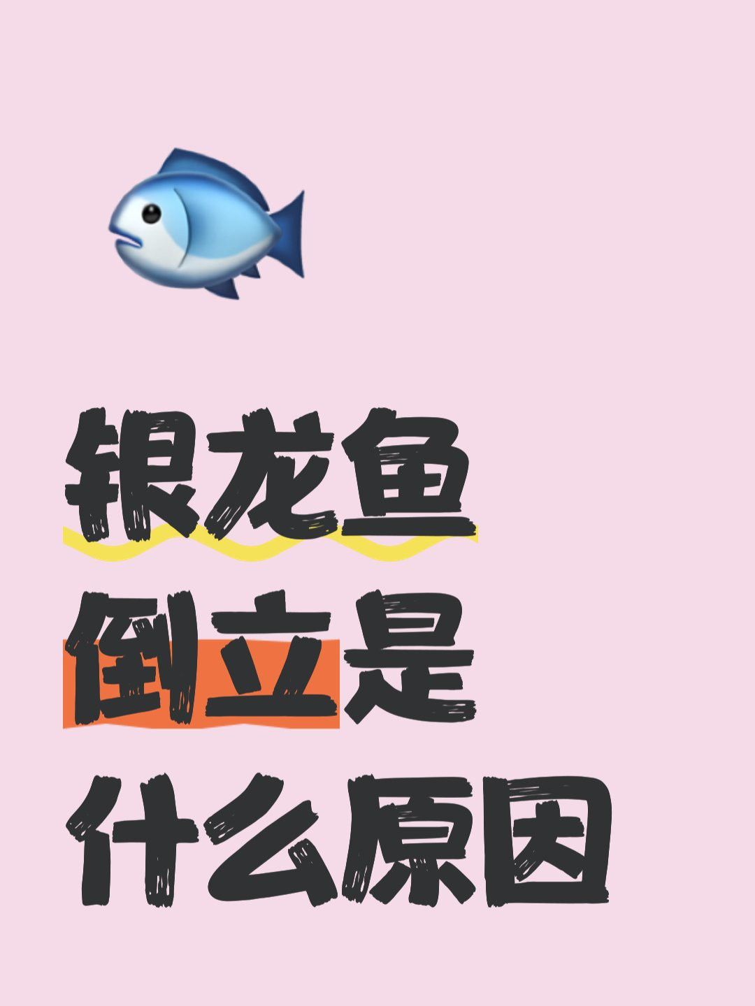 林風(fēng)改造銀龍魚的目的是什么？ 林風(fēng)改造銀龍魚的目的是什么？ 龍魚百科 第10張