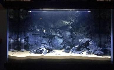 水缸改造魚缸過濾的方法（水缸改造魚缸過濾怎么弄）