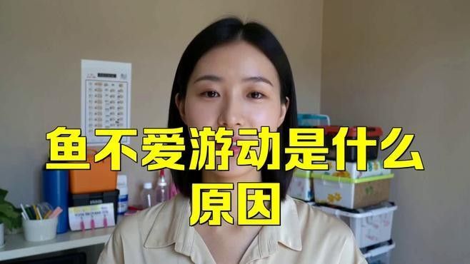 龍魚經常停留不愛游動咋回事兒 龍魚經常停留不愛游動咋回事兒 龍魚百科