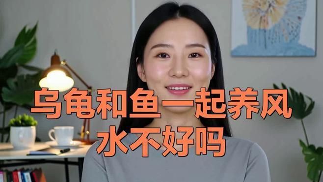 魚缸和龍龜可以一起擺放嗎？