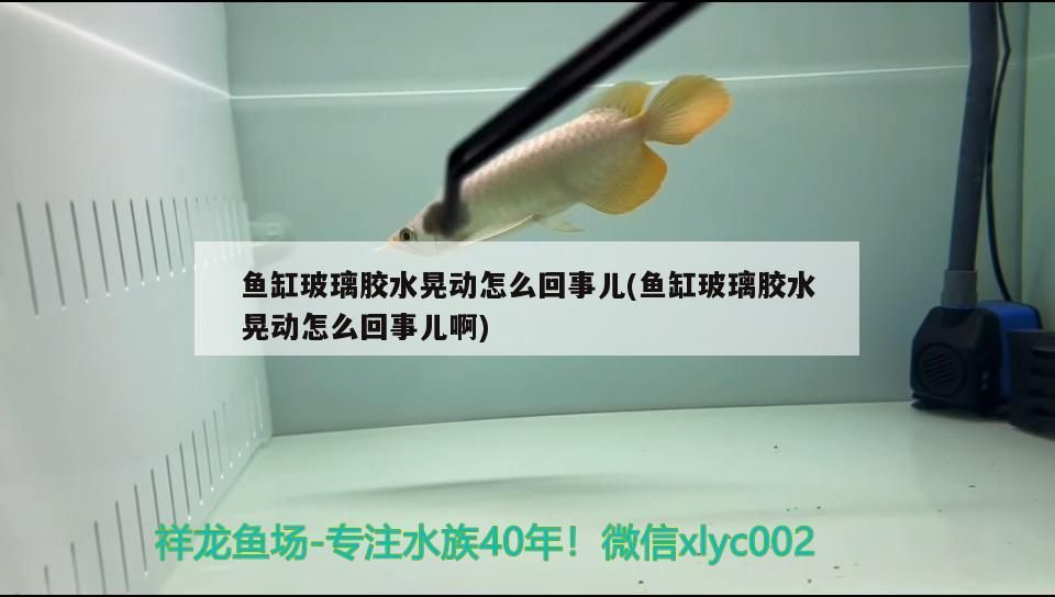 魚缸玻璃膠水晃動怎么回事兒(魚缸玻璃膠水晃動怎么回事兒啊)