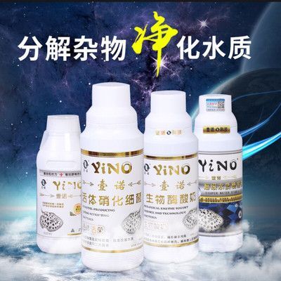 拉薩龍魚專賣店：拉薩地區有多家專門銷售龍魚及相關產品的店鋪及店鋪