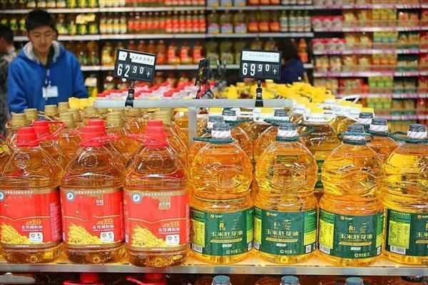 金龍魚營收結構，金龍魚的營收結構分析