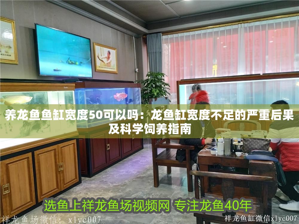 養(yǎng)龍魚魚缸寬度50可以嗎：龍魚缸寬度不足的嚴(yán)重后果及科學(xué)飼養(yǎng)指南