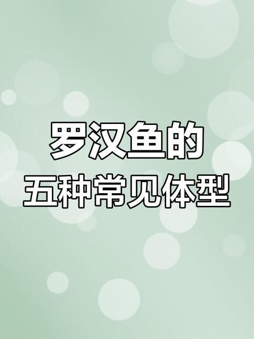 羅漢魚(yú)常見(jiàn)品種圖鑒