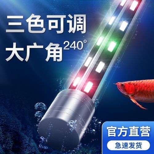 龍魚用潛水燈好還是頂燈好