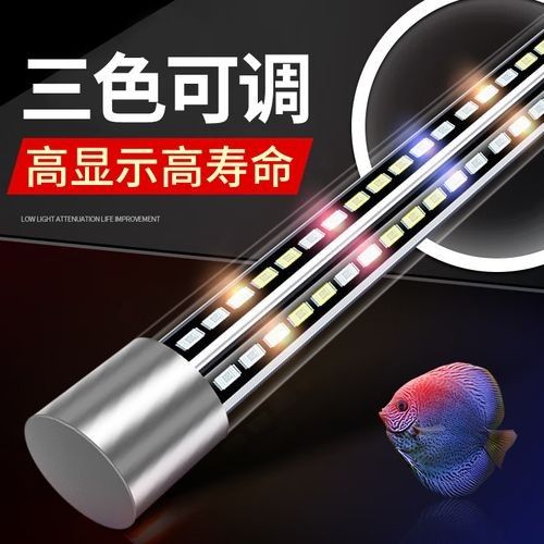 龍魚用潛水燈好還是頂燈好