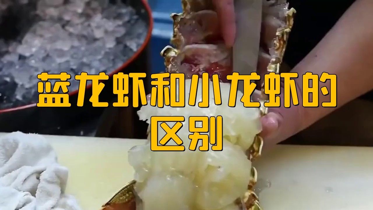如何區(qū)分真假藍(lán)龍蝦？