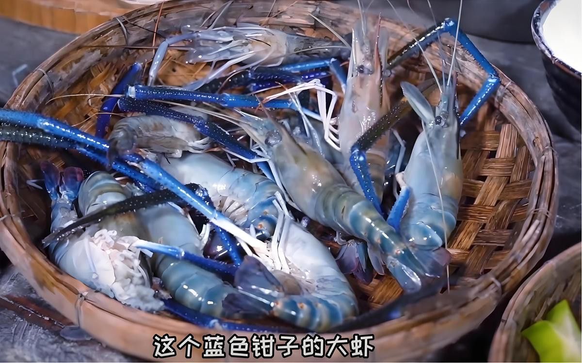 如何區(qū)分真假藍(lán)龍蝦？