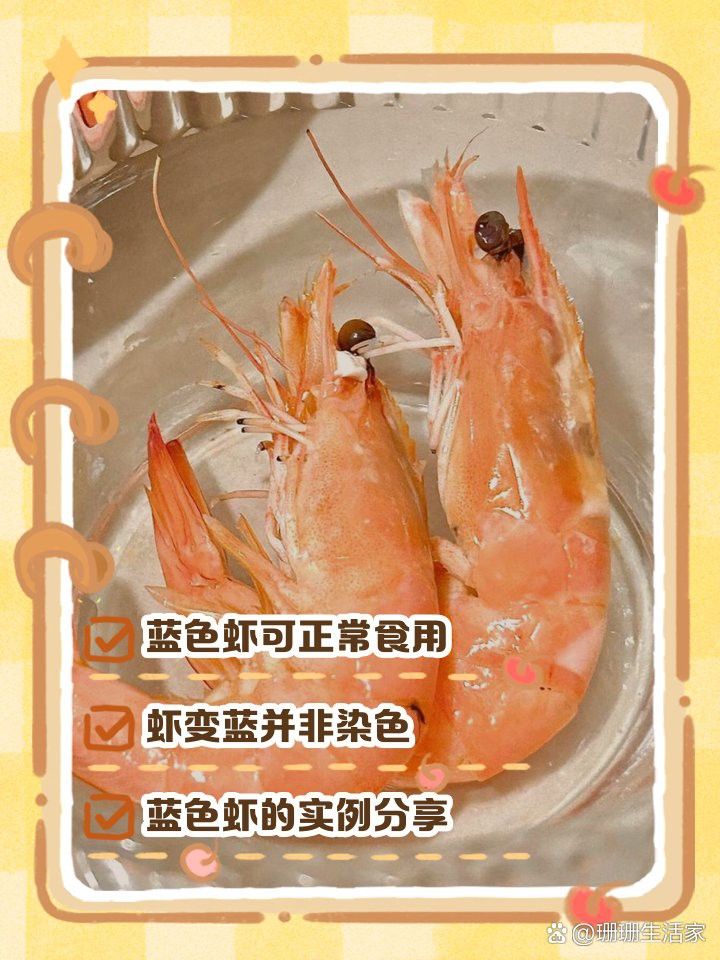 如何區(qū)分真假藍(lán)龍蝦？