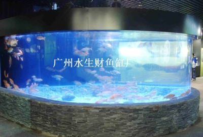 廣州魚缸批發cc祥龍魚場（祥龍魚場在廣州魚缸批發方面的一些要點）