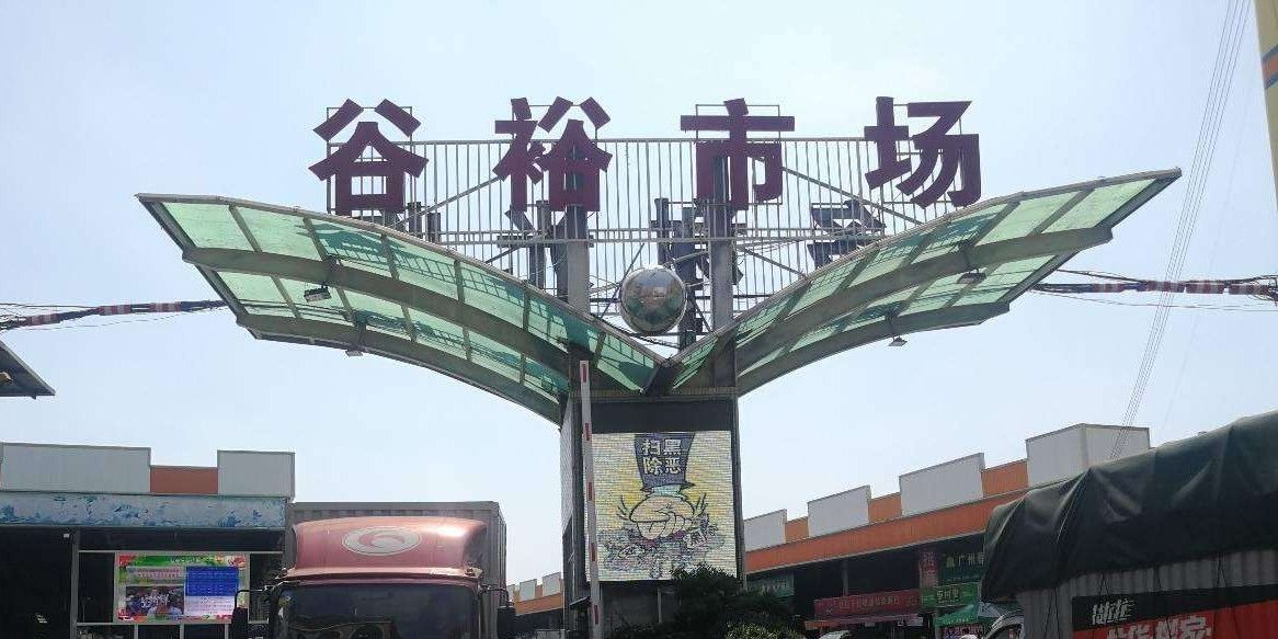 廣州最大龍魚市場(chǎng)地址在哪里