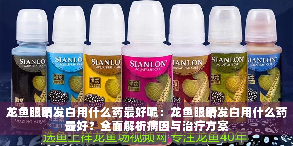 龍魚眼睛發白用什么藥最好呢：龍魚眼睛發白用什么藥最好？全面解析病因與治療方案
