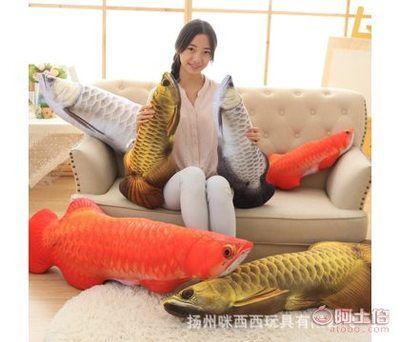 關(guān)于龍魚的說說文案搞笑版（《關(guān)于龍魚的搞笑說說文案》,龍魚這小家伙，有時候真讓人哭笑不得）