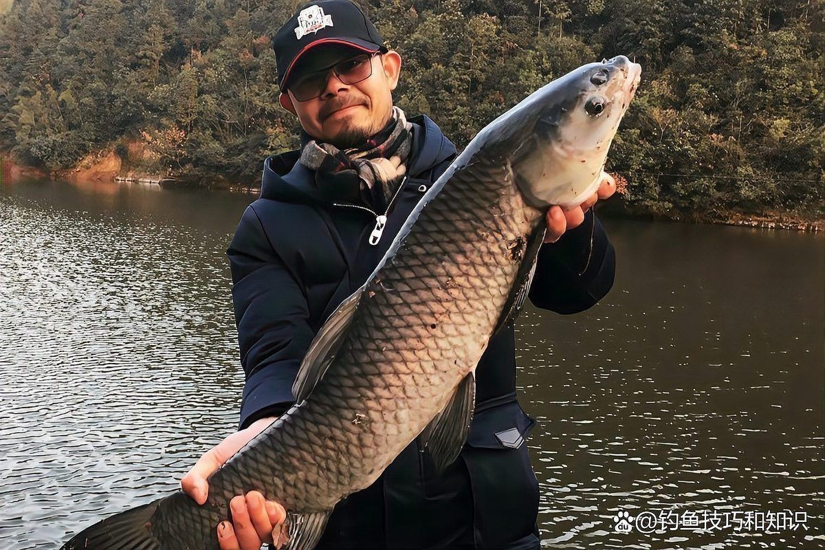 青魚珠珠最忌三種顏色