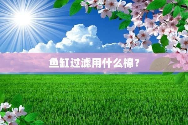 魚缸用什么棉（如何判斷魚缸過濾棉的正確清洗方法）