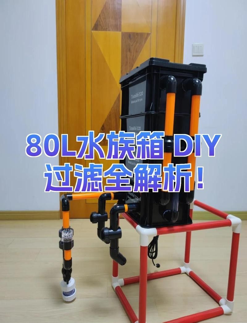 龍魚和薩伊藍混養(yǎng)需要多大的過濾系統(tǒng)？