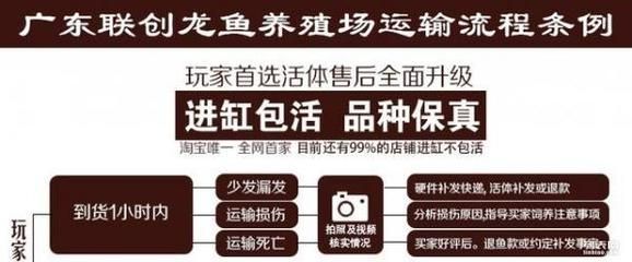 龍魚血統(tǒng)查詢的具體流程：如何查詢龍魚的血統(tǒng)