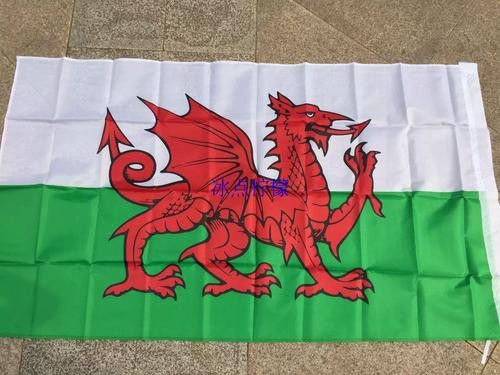 給我一些關(guān)于紅龍旗的圖片