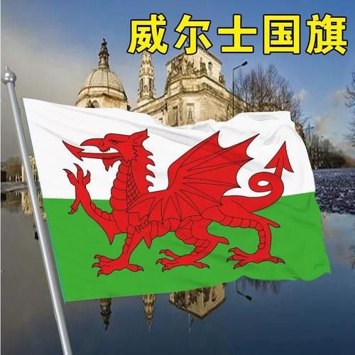 給我一些關(guān)于紅龍旗的圖片