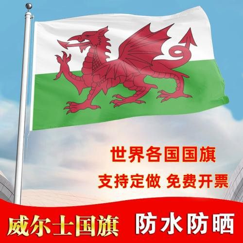 給我一些關(guān)于紅龍旗的圖片