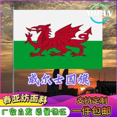 給我一些關(guān)于紅龍旗的圖片