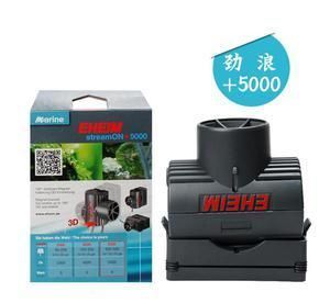 龍魚缸需要造浪嗎：龍魚擺放造浪泵的方式