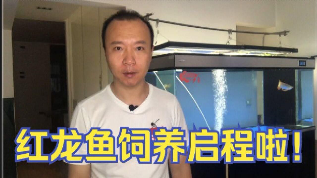 紅龍魚過水步驟