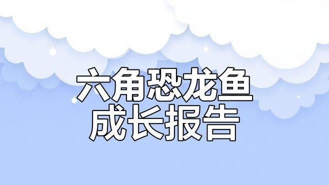 海里小龍魚圖片