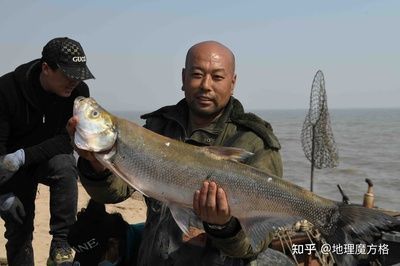 小型魚批發：根據搜索結果