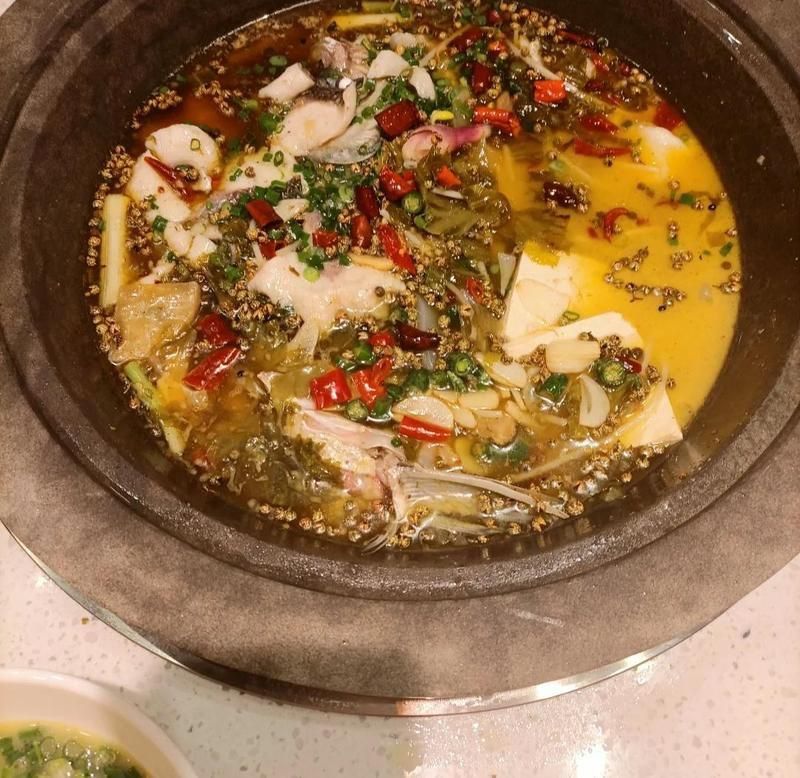 金福魚圖片