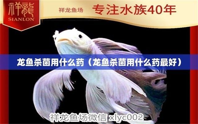 金龍魚殺菌藥有哪幾種：金龍魚殺菌用什么藥最好 金龍魚殺菌藥有哪幾種：金龍魚殺菌用什么藥最好 龍魚百科 第3張