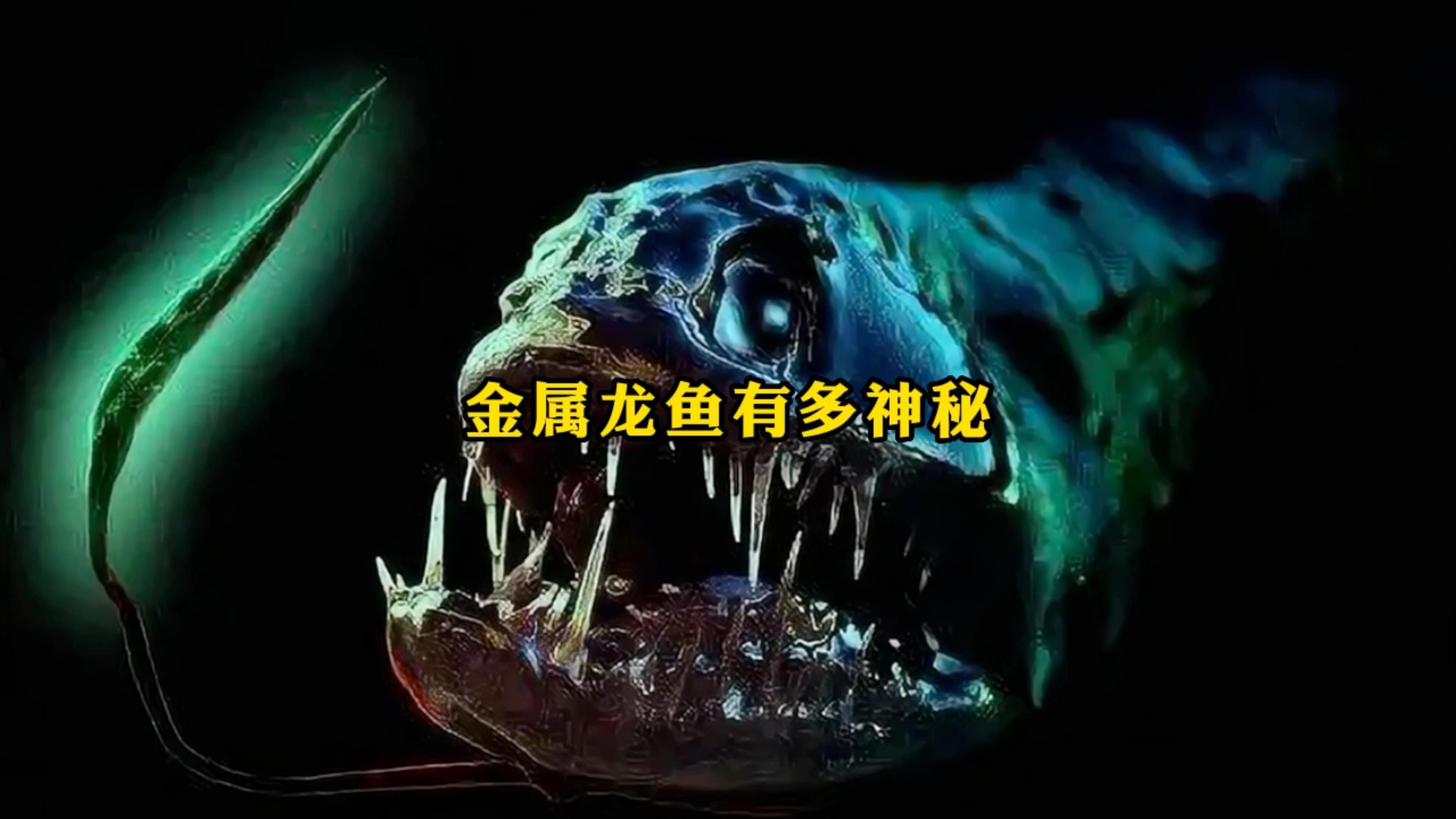 有哪些構圖技巧適用于拍攝小龍魚？