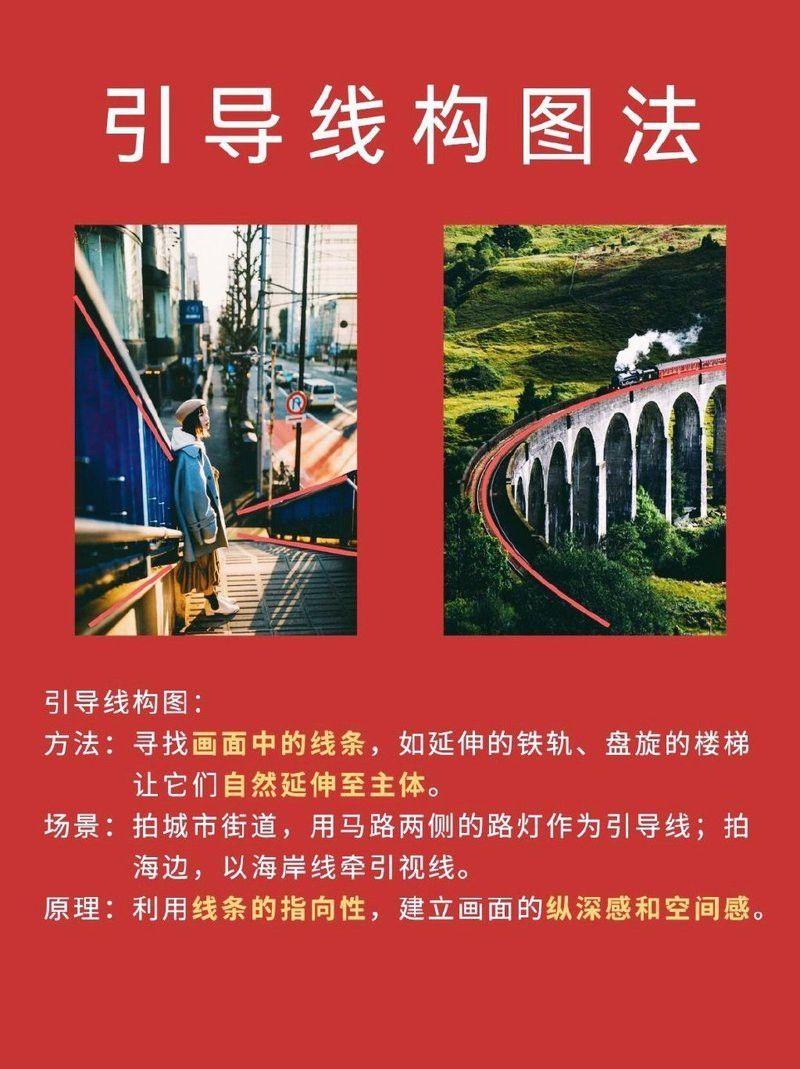 有哪些構圖技巧適用于拍攝小龍魚？