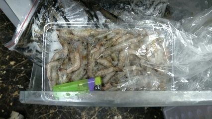 龍魚喂凍蝦：喂食龍魚凍蝦的一些注意事項和建議