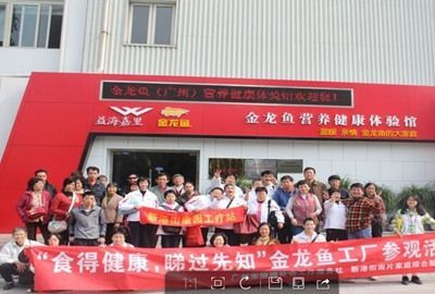 金龍魚廣州經銷商地址：金龍魚在廣州的經銷商地址