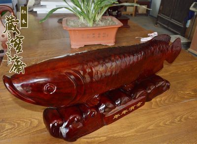 養紅龍魚放沉木的作用：養紅龍魚放沉木有什么作用？