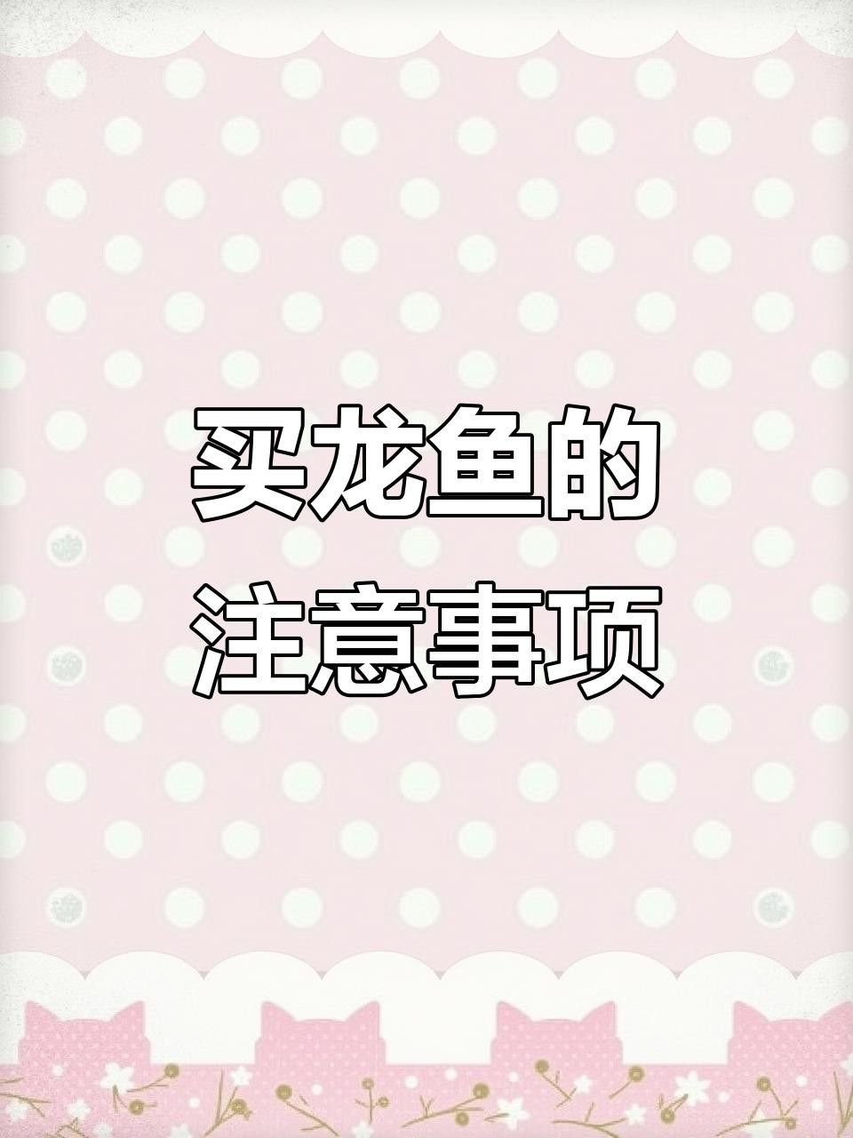 如何識別龍魚交易中的騙局？