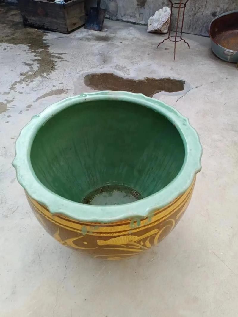 清代龍缸的價格是多少？ 清代龍缸的價格是多少？ 龍魚百科 第7張