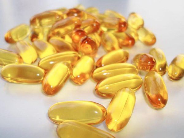 金龍魚官網首頁