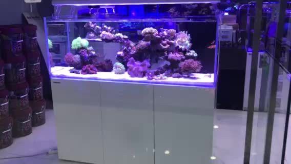 臻龍魚(yú)缸怎么樣